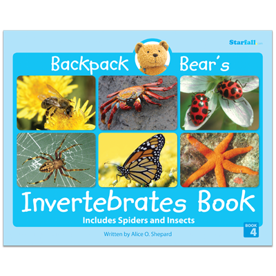 Detailed view of Backpack Bear's Invertebrates Book