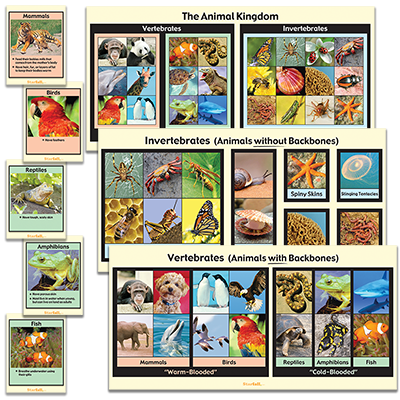 animal kingdom chart for kids