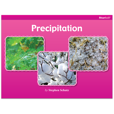 Detailed view of Precipitation